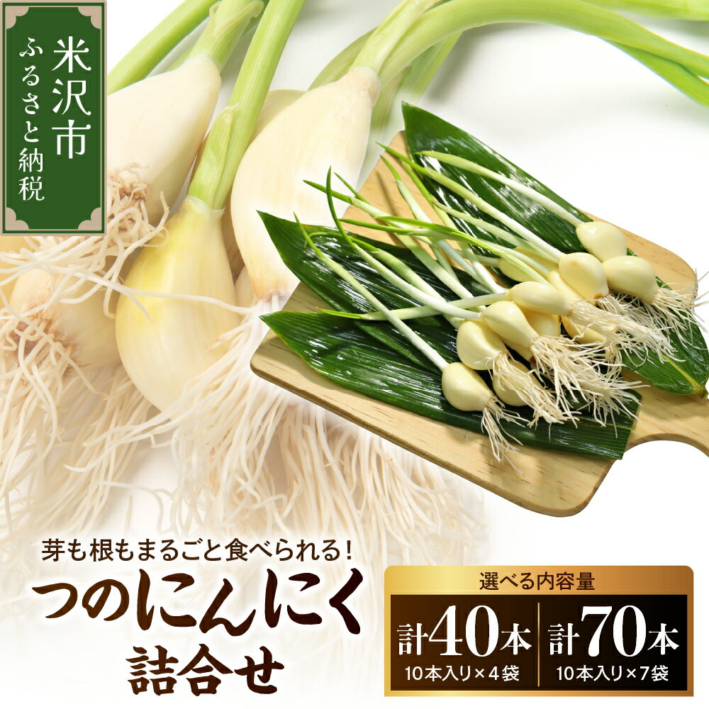 【ふるさと納税】つのにんにく 詰合せ 1袋 10本入り ( 選べる 40本 70本 ) 水耕栽培にんにく 発芽にんにく 国産 野菜 天ぷら 素揚げ 贈答 ギフト 産地直送 送料無料 お試し 山形県 米沢市