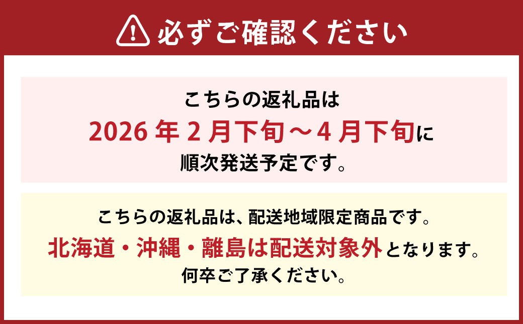せとか 4L～L 約5kg （821）