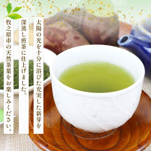 【2ヶ月毎定期便・6回発送】 深蒸し茶 特選 5本 国産  静岡県 牧之原市  マルイ伊藤製茶