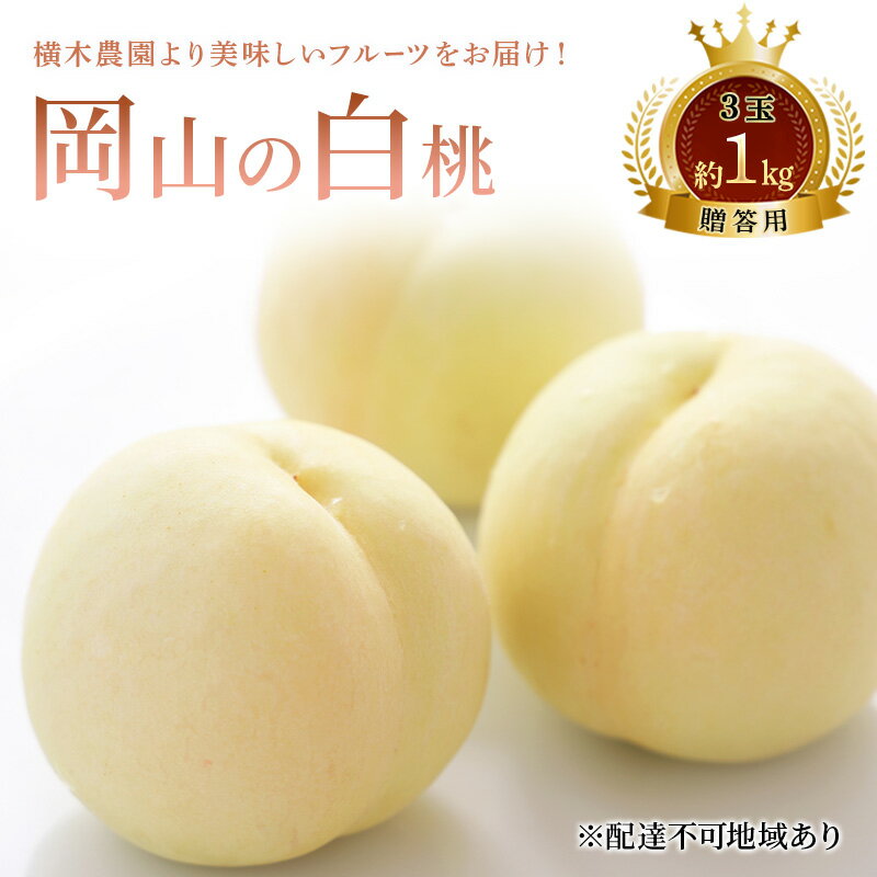 【ふるさと納税】桃 2026年 先行予約 岡山の白桃 3玉 約1kg 贈答用 もも モモ 白桃 岡山白桃 岡山県産 国産 フルーツ 果物 ギフト 贈り物 横木農園 スイーツ　お届け：2026年7月上旬～2026年8月下旬
