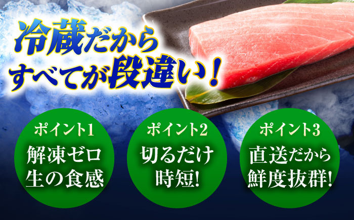 マグロ まぐろ 生食 刺身 さしみ セット 海鮮 魚介 養殖マグロ 養殖まぐろ 養殖 冷蔵 赤身 大トロ 中トロ 高級