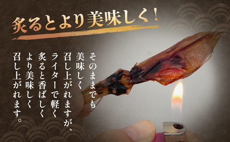 【訳あり】【6回隔月定期便】富山県産ほたるいか素干し 50ｇ×3袋 お酒に合う珍味！ 富山県 氷見市 ホタルイカ 素干 おやつ おつまみ 肴　ホタルイカ