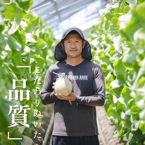 【通年出荷】 アローマ メロン 1玉 1.3kg以上 静岡メロン 