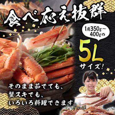 ふるさと納税 岸和田市 巨大　生ズワイ蟹　5L　2kg |  | 02