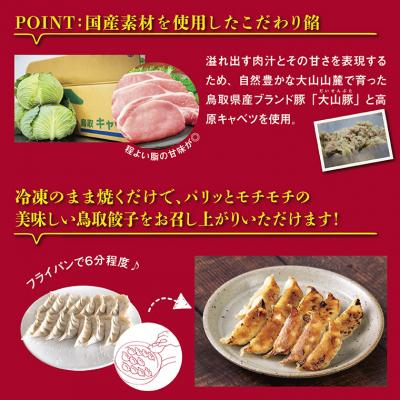 ふるさと納税 鳥取市 鳥取餃子 鳥取県産ブランド豚使用 60個セット (30個入り×2パック) |  | 03