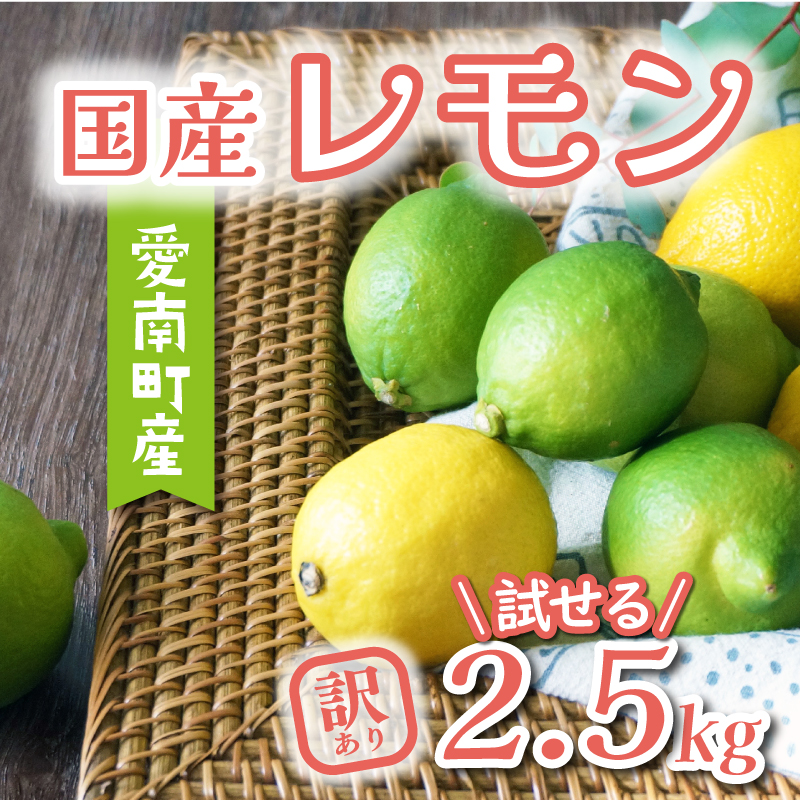 数量限定 先行予約 訳あり レモン 2.5kg 6000円 柑橘 檸檬 国産 れもん フルーツ 果物 果実 産地直送 農家直送 数量限定 期間限定 特産品 瀬戸内 ワックス 防腐剤 不使用 わけあり 人気 新鮮 少量 お試し レモネード 塩レモン レモン酢 レモンソース はちみつレモン レモンケーキ レモンスカッシュ レモンサワー レモン酎ハイ ビタミン 規格外 あいなんマザーズ 愛南町 愛媛県