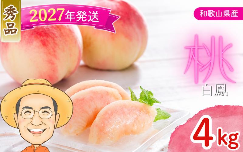
                  チョイス限定！【秀品】桃 白鳳 約4kg 箱 (13～15個)  カキエモン農園 【2027年6月下旬～7月下旬頃順次発送】 クール便 送料無料 熨斗 ギフト 贈答 もも momo モモ 果実 完熟 カキエモン 農園 紀州 熱中症 夏バテ 果物【BX-kkem028A】
                
