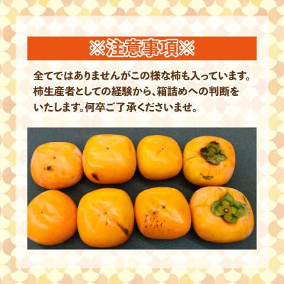 ふるさと納税 あわら市 【訳あり】 甘みすっきり!あわらのたねなし柿 約8kg(32個〜40個)(ご家庭用) |  | 03