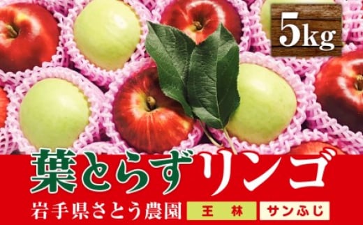 
さとう農園の葉とらずリンゴ　ミックス（王林/サンふじ）　5kg 14玉～20玉
