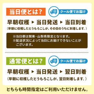 【当日配送】【先行受付 2025年6月20日頃～8月上旬発送予定】早朝収穫！とうもろこし10～12本（味甘ちゃん・みかんちゃん）【関東+山梨へのお届け】  mi0046-0005 当日配送 朝採れ 新