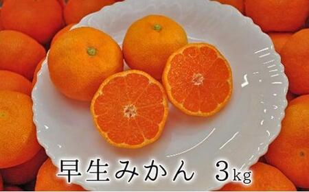 【2025年11月中旬より順次発送】秋の味覚　果汁たっぷり　早生みかん3kg★★