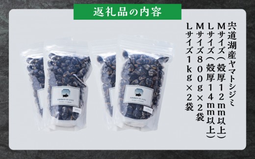 宍道湖産ヤマトシジミ・食べ比べ3.6kg（Lサイズ2kg＋Mサイズ1.6kg）｜ヤマトシジミ 宍道湖産 直送 新鮮 しじみ 蜆 貝 冷凍 味噌汁 しじみ汁 砂抜き 大粒 奥宇賀屋 ふるさと納税 人気 おすすめ 出雲市