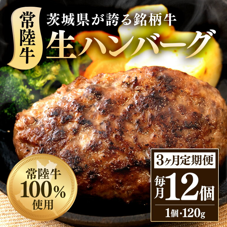 【ふるさと納税】定期便 3回 牛肉 黒毛和牛 ハンバーグ 冷凍 国産 贅沢 生ハンバーグ120g×12個 常陸牛 100％ 【3ヶ月連続お届け】 517