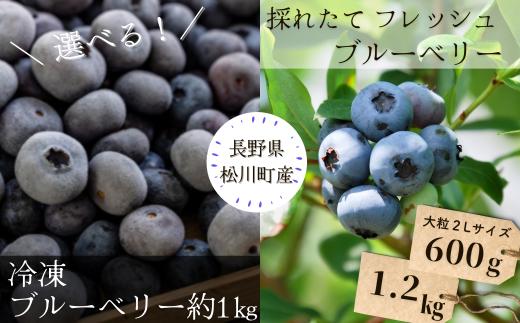 
                  【先行予約】選べる！ 冷凍 or 採れたて ブルーベリー 農家直送 // 南信州 国産 長野県産 フレッシュブルーベリー 大粒 甘い 人気 新鮮 厳選 贈答 産地直送 KB05 KB01 KB02
                