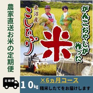 【令和７年産新米予約】6か月定期便　がんこおやじが作った南魚沼産コシヒカリ白米10kg（5kg×2袋）【2025年10月20日頃より順次発送予定】