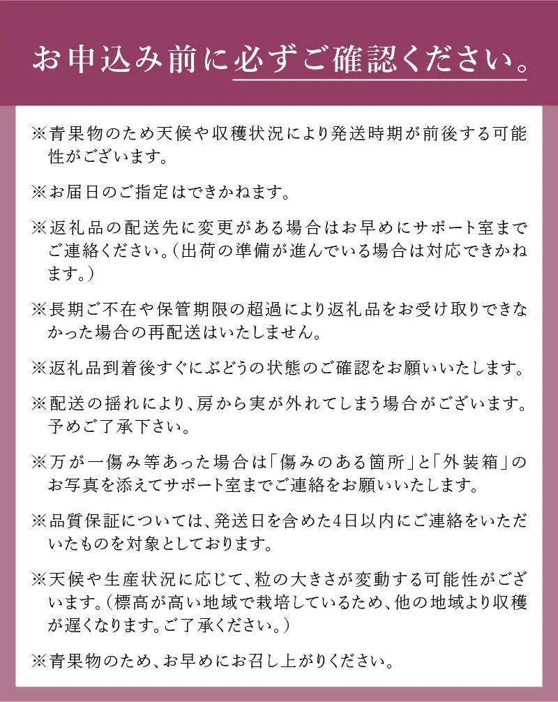 【2026年先行予約】八ケ岳南麓産「富士の輝」 [h262]