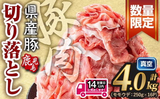 ＜14営業日以内に発送予定＞鹿児島県産 豚肉切り落とし (計4.0kg) 真空パック 豚肉 切り落とし【Rana】A1017-v02
