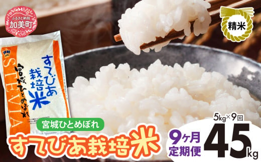 【9回定期便】新米 精米 令和6年度産 すてびあ栽培米 宮城県産 ひとめぼれ 45kg (5kg×9回) [菅原精米工業 宮城県 加美町 ]  |  sw00001-r6-5kg-9