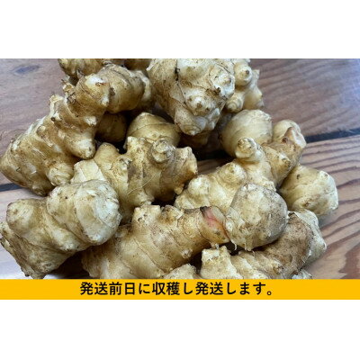 【ふるさと納税】神奈川県山北産　生菊芋4kg【1687708】