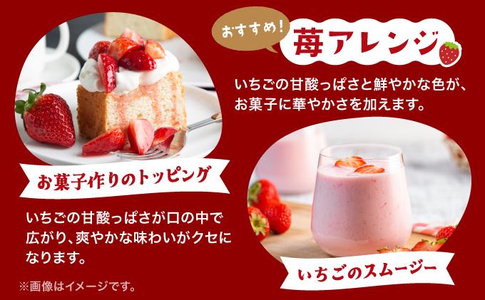 ＜先行予約＞ 北海道 伊達市 いちご すずあかね Mサイズ 30個入り 2トレー 60個【55250946】苺 イチゴ スイーツ デザート 果物 甘い 赤 鮮やか 新鮮 ケーキ お菓子作り