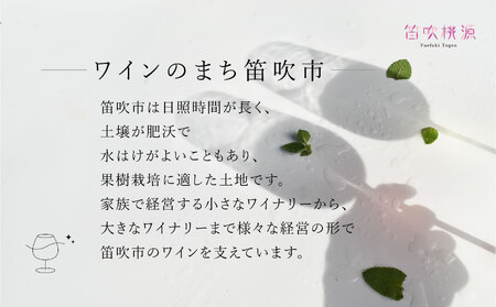 笛吹市産ワインおまかせワイン6本セット 157-048