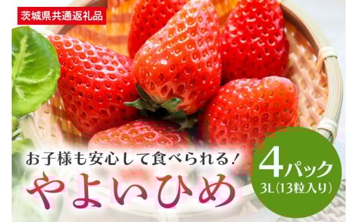 【数量限定・先行予約】やよいひめ 3L（13粒入り）×4パック 1kg以上 いちご イチゴ 苺 フルーツ 果物 くだもの ＜2026年1月中旬～3月上旬発送予定＞ （茨城県共通返礼品 石岡市） 71-B