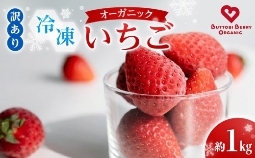 
                  冷凍 オーガニックいちご 1kg 有機いちご 苺 さちのか｜いちご 果物 フルーツ 苺 人気 無農薬 期間限定 人気 ギフト プレゼント 贈答 ケーキ グルメ デザート おやつ お菓子 送料無料
                