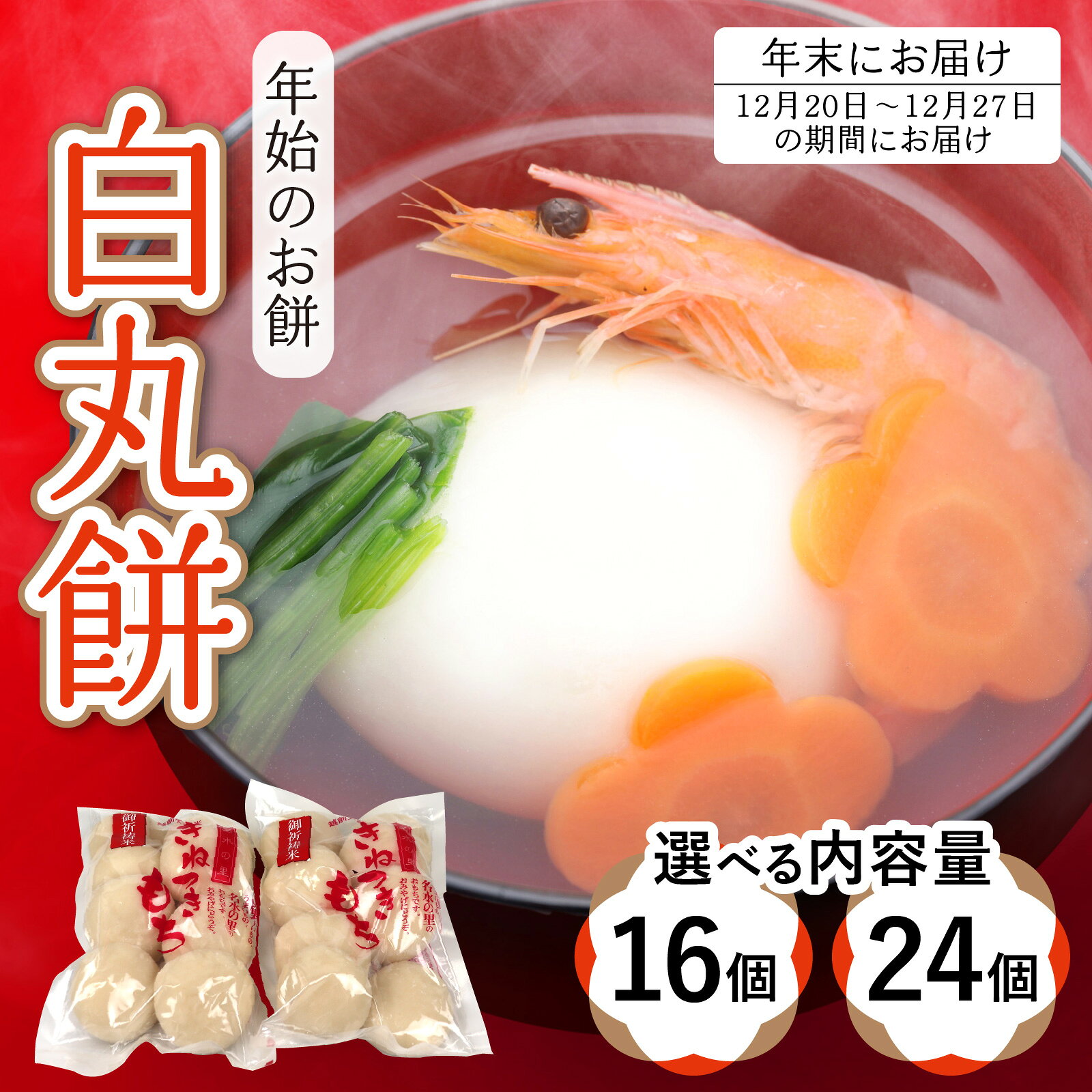 【ふるさと納税】【先行予約】【年始のお餅】【選べる内容量】越前大野 杵つきもち「白丸餅」～大野のお米と名水でつきあげた手造りのお餅～ 保存料 香料 不使用【12月20日～12月27日の期間にお届け】| 国産 もち 冷凍保存可 餅米 年内配送 年内お届け 年始 正月 送料無料