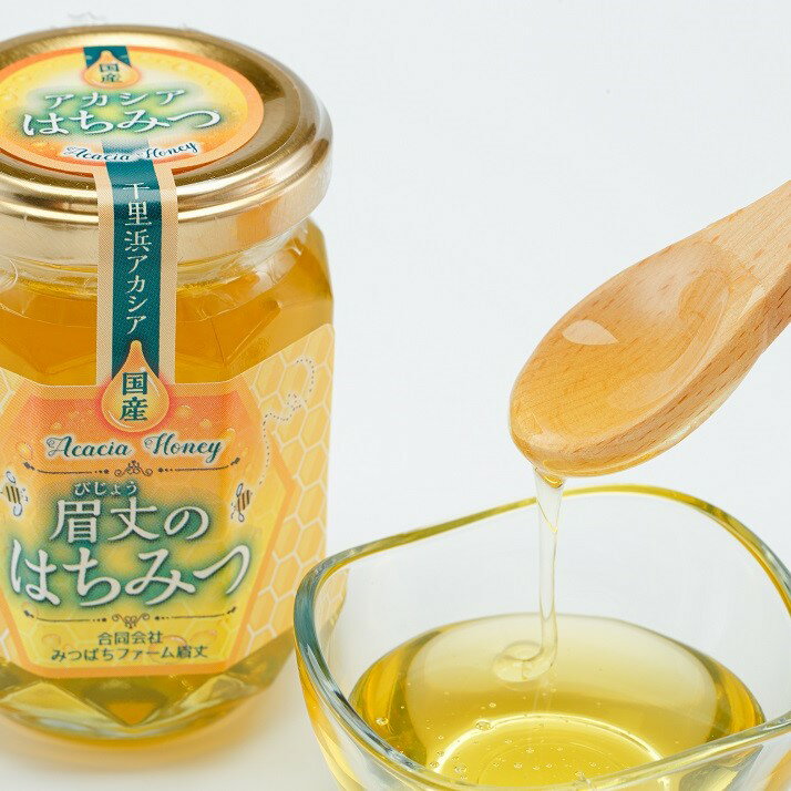 【ふるさと納税】 純度 100％ 天然 アカシア 蜂蜜 175g 非加熱 無加糖 無調整 糖度 80度 以上 瓶 能登産 純粋 はちみつ ハニー アカシア蜜 熟成 手作業 こだわり 国産 北陸 石川 能登 羽咋 山 の 恵み ホットケーキ パンケーキ にも合う 整腸 腸活 健康