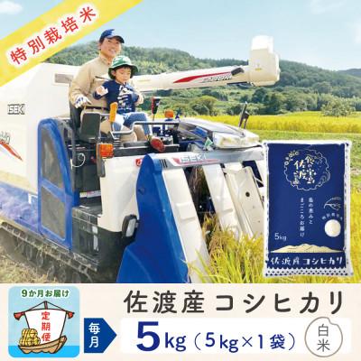 ふるさと納税 佐渡市 【毎月定期便】佐渡島産コシヒカリ 白米5Kg 特別栽培米 農家直送　全9回