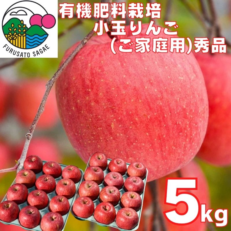 【ふるさと納税】りんご「サンふじ」秀品 5kg（24玉）ご自宅用 小玉サイズ 【2025年12月上旬頃〜下旬頃発送予定】／ お取り寄せ ご当地 特産 産地直送 果物 フルーツ 林檎 リンゴ 小ぶり 小さめ 果物 東北 2025年産 令和7年産 山形県産 5キロ