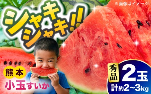 【令和8年熊本地震復興支援 先行予約 2027年5月下旬より発送】秀品 小玉スイカ 2玉 計約2kg～3kg 数量限定 / スイカ すいか 西瓜 suika watermelon 小玉スイカ 小玉すいか 秀品 果物 フルーツ くだもの 初夏 さわやか 甘い シャキシャキ お取り寄せ 季節の果物 熊本 熊本県 合志 合志市 九州 くまもと 国産【株式会社 Foody's】[AYAT008]