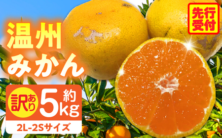 訳あり温州みかん約5kg（2L-2S） | みかん 温州みかん 果物 果実 訳あり 訳ありみかん 訳あり果物 訳ありフルーツ フルーツ 香川県 三木町 |_mk006-031