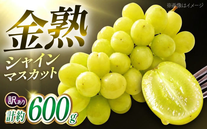 
                  シャインマスカット【先行予約】【訳あり】 こば農園 こだわりのシャインマスカット 約600g 【合同会社 こば農園】ぶどう ブドウ 葡萄 マスカット 熊本 山鹿 フルーツ 果物 1万円以下 10000円以下 [ZFO008]
                