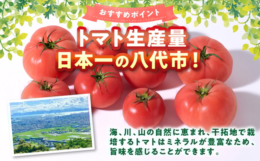 海、川、山の自然に恵まれ、干拓地で栽培するトマトはミネラルが豊富なため、旨味を感じることができます。