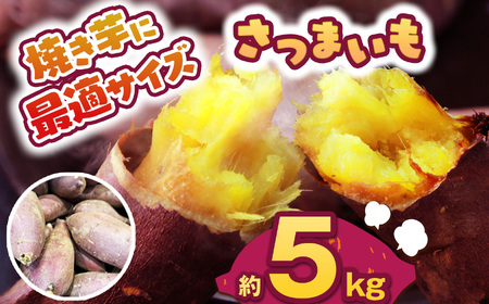 【先行予約】食べやすい焼き芋サイズ 5kg  | 栃木県 下野市