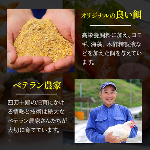 ★銘柄鶏四万十鶏★しまから1kg 超簡単揚げるだけ♪ 唐揚げ 弁当 むね肉 冷凍 ／Adf-A33