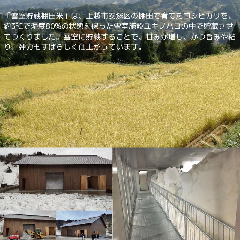 令和7年 新潟県産 コシヒカリ 雪むろ 棚田米 5kg 5キロ 白米 新米 明治大学ラグビー部 安塚 雪室 こめ 新潟 上越 上越市