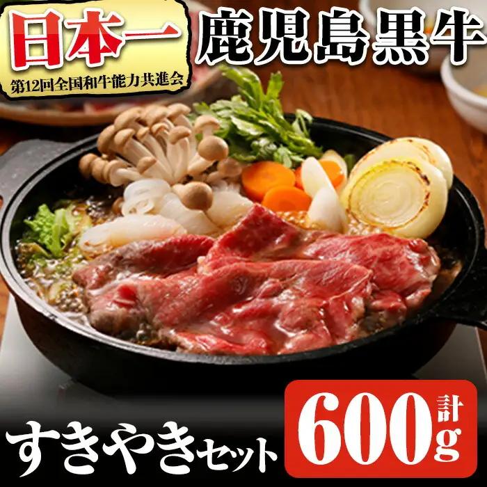  鹿児島県産 黒毛和牛 すき焼き 黒牛 すきやき セット (計約600g)【D-101】【そお鹿児島農業協同組合】B130-v01