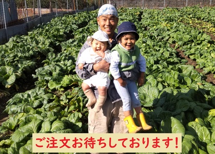 【自然栽培】大和の伝統野菜 下北春まな1kg 