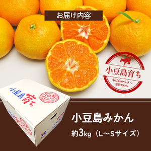 みかん 小豆島みかん 柑橘 フルーツ 国産 みかん【約3kg】
