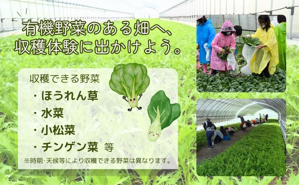 有機農業 収穫体験 ツアー お土産付 5名様迄／ 農家 有機野菜 オーガニック 無農薬 SDGs 関西 チケット カレー 山口農園 奈良県 宇陀市 ふるさと納税