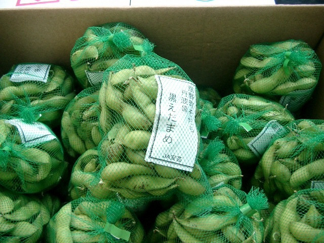 
            【熊野町特産品】熊野そだち　黒えだまめ(約1㎏)
          