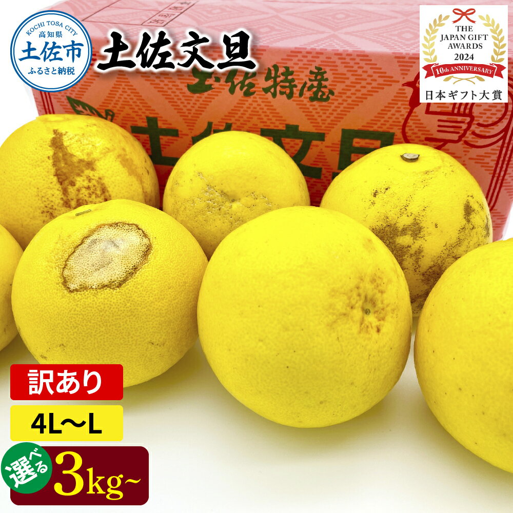 【ふるさと納税】日本ギフト大賞受賞 園主こだわり土佐文旦 訳あり(4L～L）3/5/7/10kg 文旦 土佐文旦 ワケアリ ぶんたん ぼんたん フルーツ 果物 デザート 柑橘 みかん 蜜柑 家庭用 自宅用 高知 土佐 国産 常温 高知県 土佐市 ふるさとのうぜい 故郷納税 返礼品