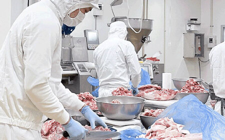 ベトナム風ハム Sサイズ 4種セット / ハム はむ ベトナム ベトナム料理 / 瀬戸市 / 株式会社フードフォース [BBBE006]