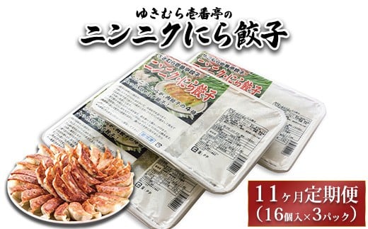 
            【11ヶ月定期便】ゆきむら壱番亭のニンニクにら餃子3パック(48個入り) ※離島への配送不可
          