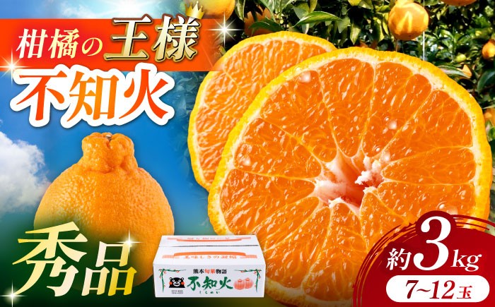 
                  【2026年3月下旬から発送】 みかん ミカン 不知火（デコポン と同品種）約 3kg （7〜12玉）秀品 ギフト 贈答 贈答用 柑橘の王様 ハウス栽培 デコポンしらぬい でこぽん みかん かんきつ くだもの フルーツ 果物 旬 熊本 熊本県 山鹿市 1万円 以上 【小春農園】[ZBN003]
                