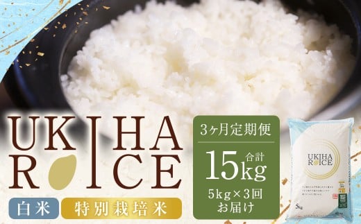 【3ヶ月定期便】 みずほファーム UKIHA RICE 白米 5kg?3回 （特別栽培米） 計15kg ヒノヒカリ ひのひかり 精米 米 こめ コメ お米 おこめ 白米 精米 ごはん ご飯 お中元 お歳暮 ギフト プレゼント 贈答品 定期便 おすすめ 国産
