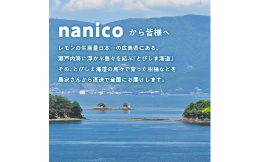 【先行受付】【2026年12月上旬～発送 】レッドキウイ 1.8kg / 稀少 甘い 呉 広島 フルーツ 美容 健康 キウイ 呉市 広島県 ku149-008-26