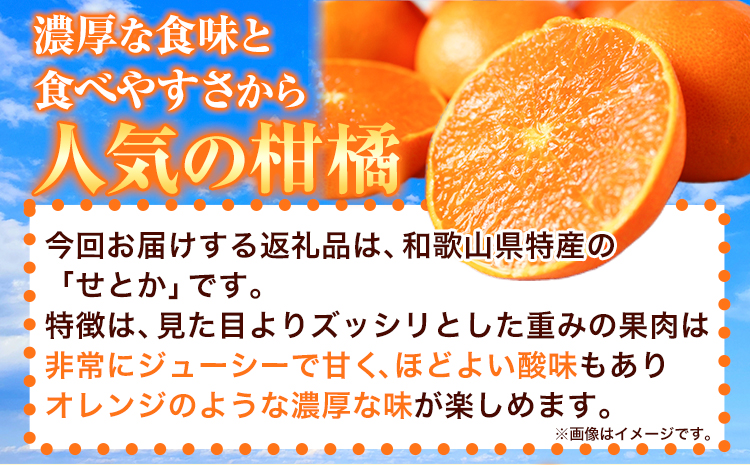【先行予約】【家庭用 訳あり】とろける食感!ジューシー柑橘 せとか 約 5kg 魚鶴商店 《2026年2月上旬-3月中旬頃出荷》 和歌山県 日高町 みかん 柑橘 果物 フルーツ 送料無料(F)